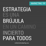 Wild Wind Marketing Tips